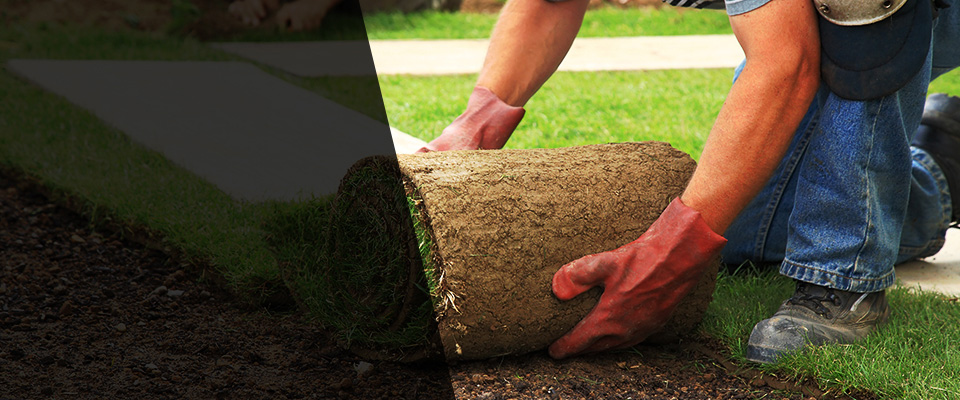 Cedarhurst Landscapers
